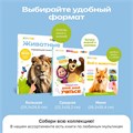Комплект говорящих книжек BertToys Нажималки: Я и Мир Вокруг + Транспорт FD192