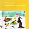 Говорящая книжка Нажималка BertToys Животные FD140.01