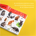 Говорящая книжка Нажималка BertToys Животные FD140.01