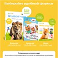 Говорящая книжка Нажималка BertToys Животные FD140.01