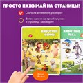 Нажималка BertToys Маша и медведь Давай учиться FD149