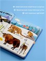 Книга BertToys электронная говорящая интерактивная Нажималка Животные FD140