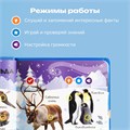 Комплект говорящих книжек BertToys Нажималки: Животные + Транспорт FD198
