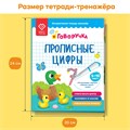 Тетрадь-тренажер BertToys Прописные цифры Дополнение к логопедическим игрушкам 2+ FD519