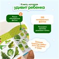 Книга BertToys электронная говорящая интерактивная Нажималка Цвета FD145