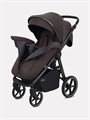 Коляска прогулочная Rant Caspia Soft Shine brown 4670078675576