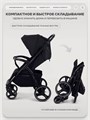 Коляска прогулочная Rant Basic Alpine 2026 Black 4670078679680