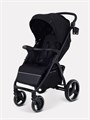 Коляска прогулочная Rant Basic Alpine 2026 Black 4670078679680
