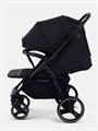 Коляска прогулочная Rant Basic Alpine 2026 Black 4670078679680