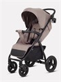 Коляска прогулочная Mowbaby Stormy Mocca 4670078675446