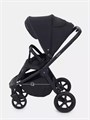 Коляска прогулочная Rant Flex 2025 RA078 Black 4670078656100