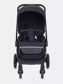 Коляска прогулочная Rant Flex 2025 RA078 Black 4670078656100