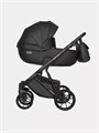 Коляска 3 в 1 Riko Basic Montana Ecco 12 black 5907729452026