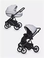 Коляска 2 в 1 Riko Basic Delta 01 grey fox 5907729452316