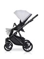 Коляска 2 в 1 Riko Basic Delta 01 grey fox 5907729452316