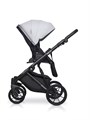 Коляска 2 в 1 Riko Basic Delta 01 grey fox 5907729452316