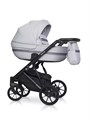 Коляска 2 в 1 Riko Basic Delta 01 grey fox 5907729452316