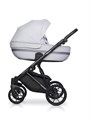 Коляска 2 в 1 Riko Basic Delta 01 grey fox 5907729452316