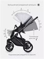 Коляска 2 в 1 Riko Basic Delta 01 grey fox 5907729452316