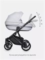 Коляска 2 в 1 Riko Basic Delta 01 grey fox 5907729452316