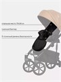 Коляска 2 в 1 Riko Basic Ozon 03 бежевый 5901583376719