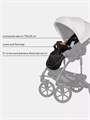 Коляска 2 в 1 Riko Basic Bella Life 01 grey fox 5907729451838