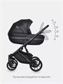 Коляска 2 в 1 Riko Basic Delta Ecco 15 black 5907729452408