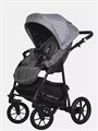 Коляска 2 в 1 Riko Basic Bella 01 серый-графит 5901812688637
