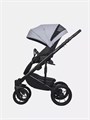 Коляска 2 в 1 Riko Basic Ozon Pastel 04 5907729454013