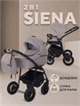 Коляска 2 в 1 Rant Siena 2024 06 бежевый 5903990641701