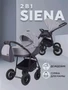 Коляска 2 в 1 Rant Siena 2024 02 темно-серый - светло-серый 5903990641664