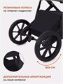 Коляска 2 в 1 Rant Basic Nexus Black 4670078642820