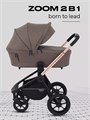 Коляска 2 в 1 Mowbaby Zoom Gold 2025 cacao brown 4670078647603