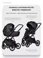Коляска 2 в 1 Riko Basic Montana X Ecco 12 Black 5907729455447