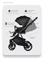 Коляска 2 в 1 Riko Basic Montana X Ecco 12 Black 5907729455447