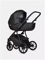 Коляска 2 в 1 Riko Basic Montana X Ecco 12 Black 5907729455447