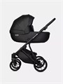Коляска 2 в 1 Riko Basic Montana X Ecco 12 Black 5907729455447