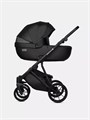 Коляска 2 в 1 Riko Basic Montana X Ecco 12 Black 5907729455447