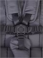 Коляска 2 в 1 Rant Basic Wave Graphite 4670078663450