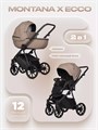 Коляска 2 в 1 Riko Basic Montana X Ecco 22 Beige 5907729455508