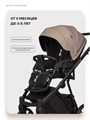 Коляска 2 в 1 Riko Basic Montana X Ecco 22 Beige 5907729455508