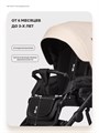 Коляска 2 в 1 Riko Basic Montana X Ecco Prestige 15 Ivory beige 5907729455379
