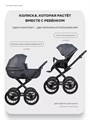 Коляска 2 в 1 Riko Basic Montana X Ecco Prestige 24 Graphite 5907729455393