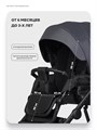 Коляска 2 в 1 Riko Basic Montana X Ecco Prestige 24 Graphite 5907729455393