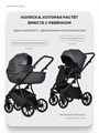 Коляска 2 в 1 Riko Basic Montana X Ecco 24 Graphite 5907729455522