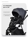 Коляска 2 в 1 Riko Basic Montana X Ecco 24 Graphite 5907729455522
