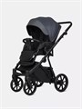 Коляска 2 в 1 Riko Basic Montana X Ecco 24 Graphite 5907729455522