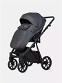 Коляска 2 в 1 Riko Basic Montana X Ecco 24 Graphite 5907729455522