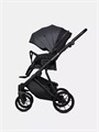 Коляска 2 в 1 Riko Basic Montana X Ecco 24 Graphite 5907729455522