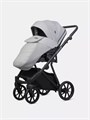 Коляска 2 в 1 Riko Basic Montana X 03 серый 5907729455799